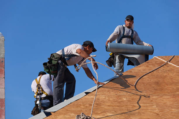 Best Roof Gutter Cleaning  in Waterville, MN