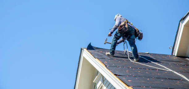 Best Roof Gutter Cleaning  in Waterville, MN